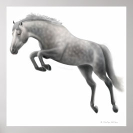 Jumping Dappled Grått Horse Poster