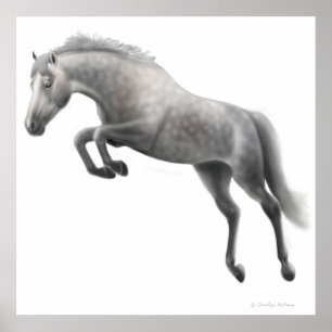 Jumping Dappled Grått Horse Poster