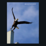 Jumping Eagle Poster<br><div class="desc">Jumping Eagle</div>