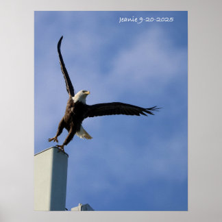 Jumping Eagle Poster