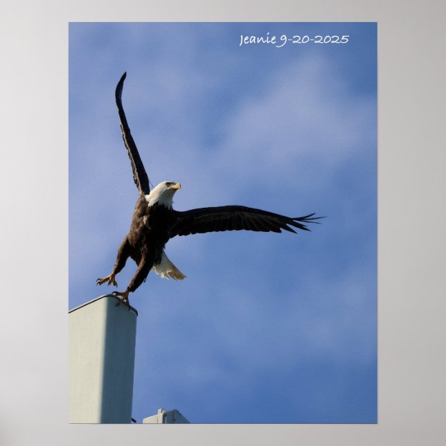 Jumping Eagle Poster (Framsidan)