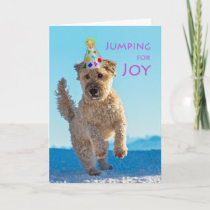 Jumping for Joy, Wheaten Terrier, födelsedag Kort