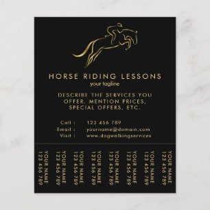 Jumping Horse      Hästtränare Flygblad