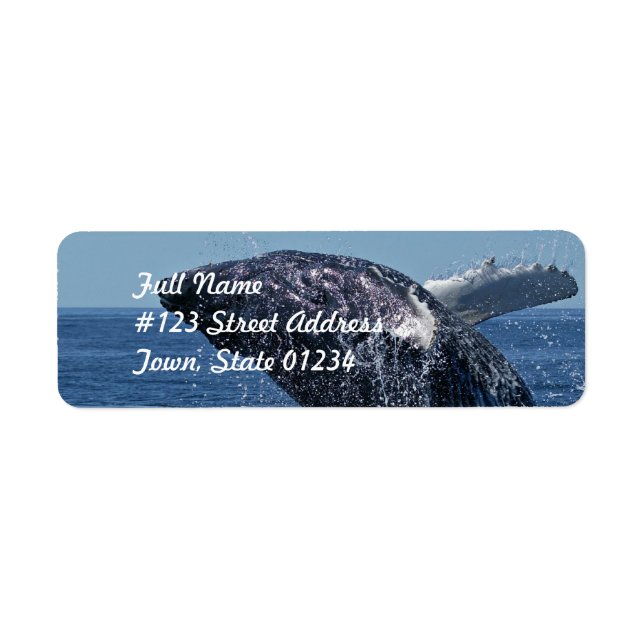 Jumping Humpback Whale Mailing Labels Returadress Etikett (Framsidan)