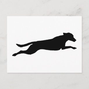 Jumping Hund Silhouette Vykort