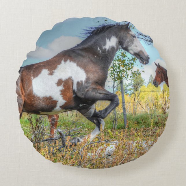 Jumping Pinto Paint Stallion a Horse Ranch Rund Kudde (Framsidan)