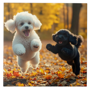 Jumping Pudel Puppies Kakelplatta