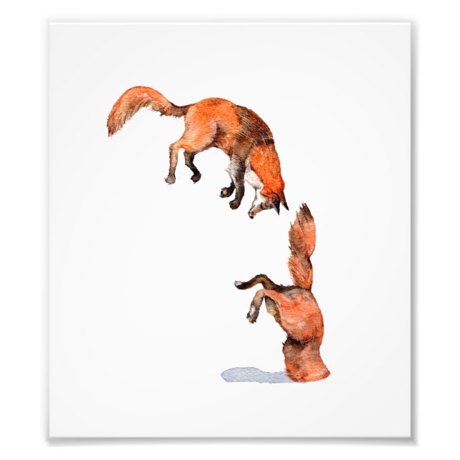 Jumping Red Fox Fototryck (Framsidan)