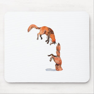 Jumping Red Fox Musmatta