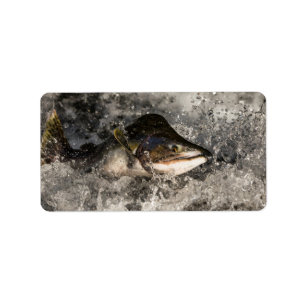 Jumping Salmon Adressetikett