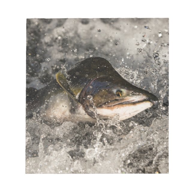 Jumping Salmon Anteckningsblock (Framsida)