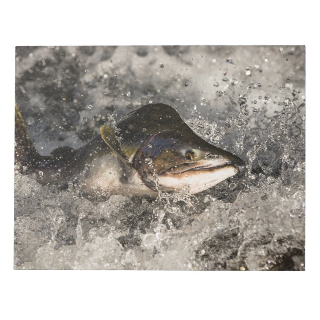 Jumping Salmon Anteckningsblock (Framsida)