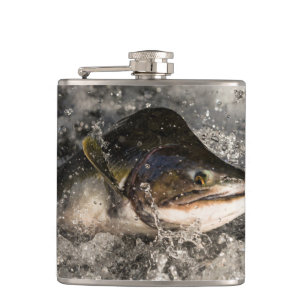 Jumping Salmon Fickplunta