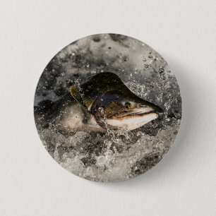 Jumping Salmon Knapp