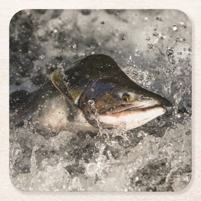 Jumping Salmon Underlägg Papper Kvadrat (Framsidan)