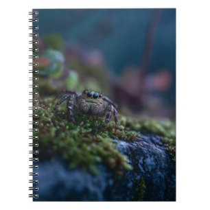Jumping Spider Moss Notebook Anteckningsbok