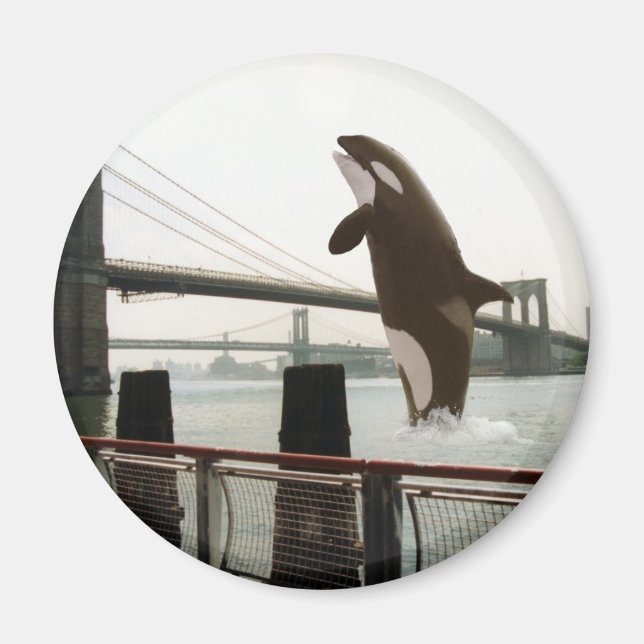 Jumping the Brooklyn Bridge Magnet (Framsidan)