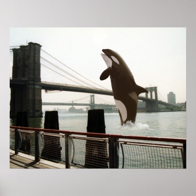 Jumping the Brooklyn Bridge Poster (Framsidan)
