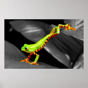 Jumping Träd Frog Poster
