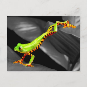 Jumping Träd Frog Vykort