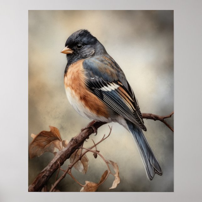 Junco Bird Art Print Poster (Framsidan)