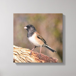 Junco Canvastryck
