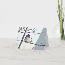 Junco in Montana Winter - 4" x 5.6" Notecard Helgkort