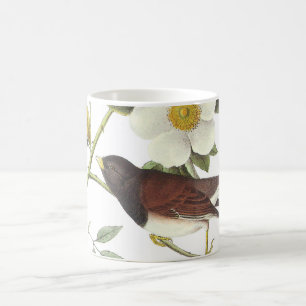 Junco med mörk av Audubon Kaffemugg