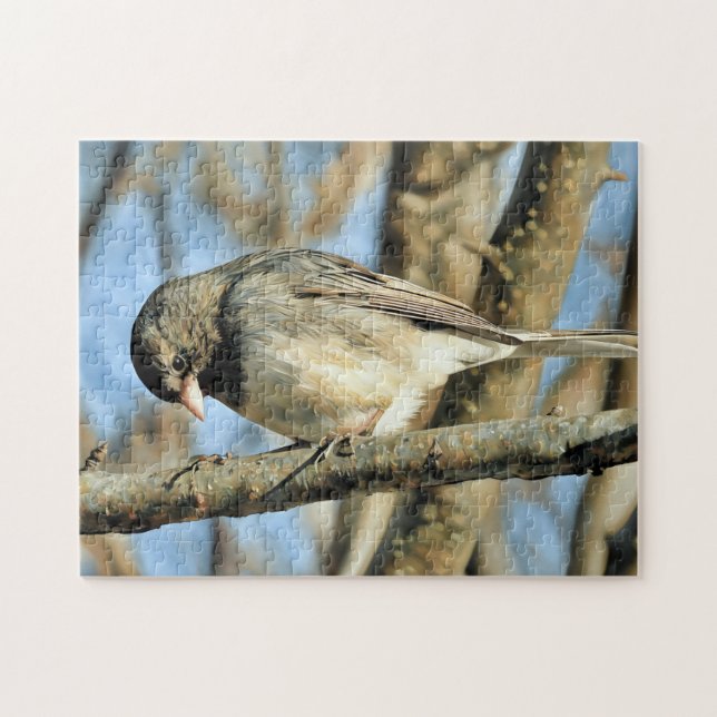 Junco Perched on Branch - Puzzle Pussel (Horisontell)