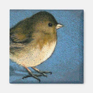 JUNCOFÅGELTECKNING MAGNET