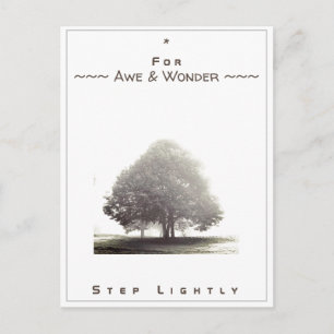 Junction Card No 43: För Awe & Step Light Vykort