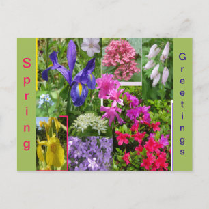 June Flowers Collage Cust. vykort