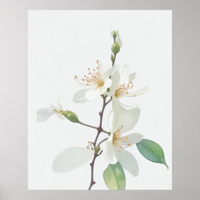 June Honeysuckle Birth Flower Poster (Framsidan)
