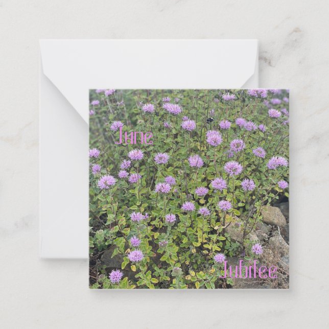June Jubilee Anteckningskort (Framsida)