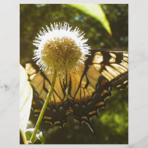 June Monarch Flyer