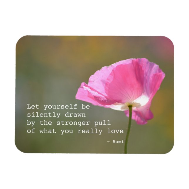 June Poppy Magnet (Horisontell)