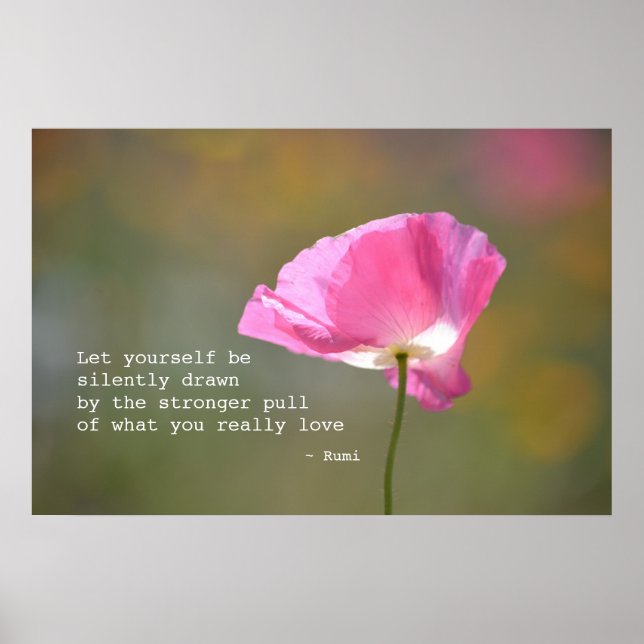 June Poppy Poster (Framsidan)