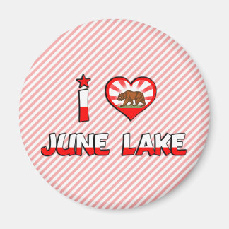June Sjö, CA Magnet