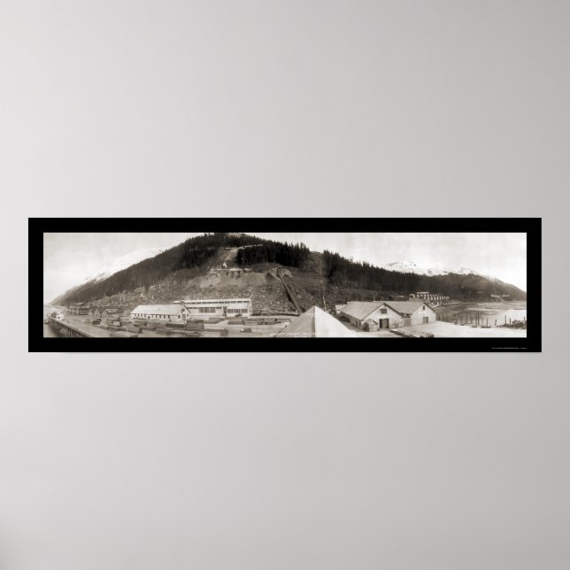 Juneau, AK Sheep Bäck Photo 1914 Poster (Framsidan)