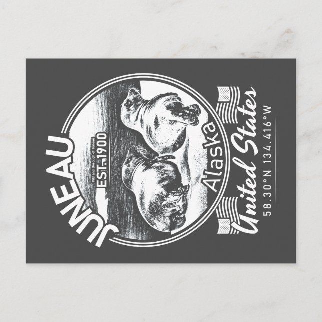 JUNEAU ALASKA - FUNNY SEAL VYKORT (Framsida)
