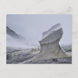 Juneau Icefield-vykort Vykort