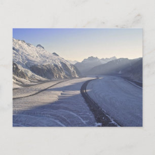 Juneau Icefield-vykort Vykort