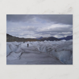 Juneau Icefield-vykort Vykort