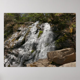 Juney Whank Falls vid Smoky Mountains Poster
