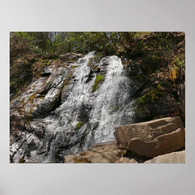 Juney Whank Falls vid Smoky Mountains Poster (Framsidan)