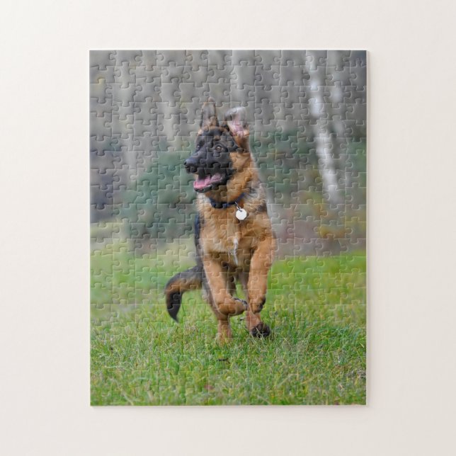 junger deutscher Schäferhund im Lauf Pussel (Vertikal)