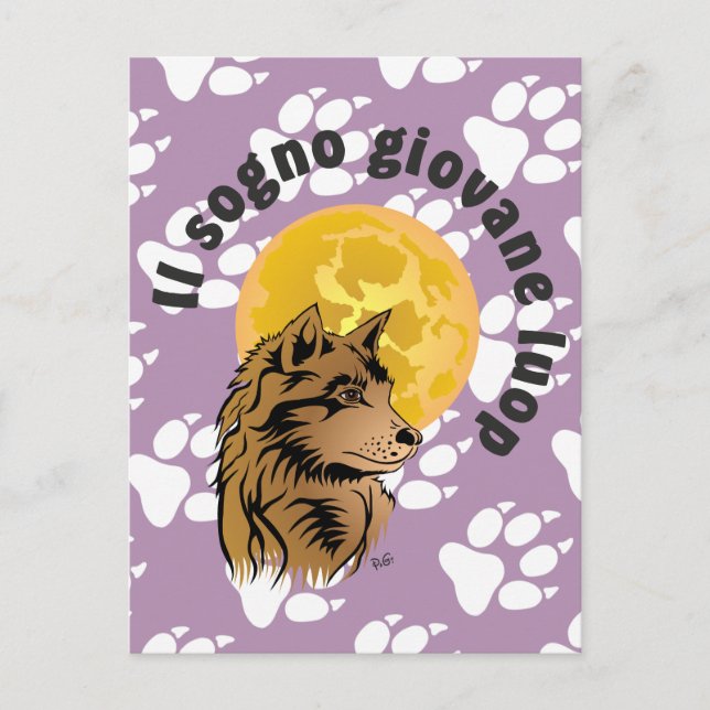 junger träumender Varg Postkarte Vykort (Framsida)