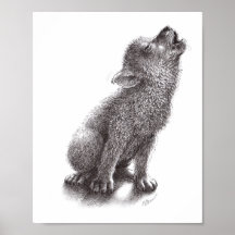 Junger Varg heult den Mond an.