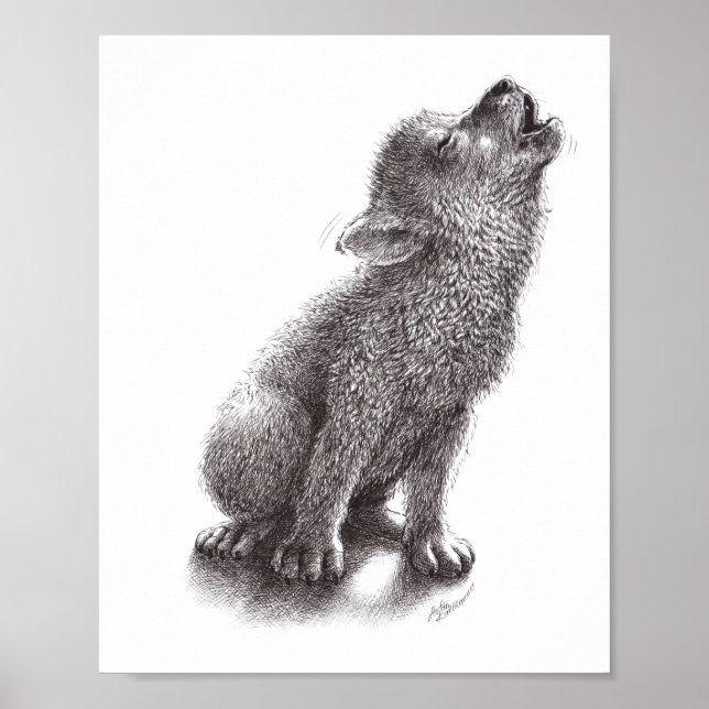 Junger Varg heult den Mond an. Poster (Framsidan)