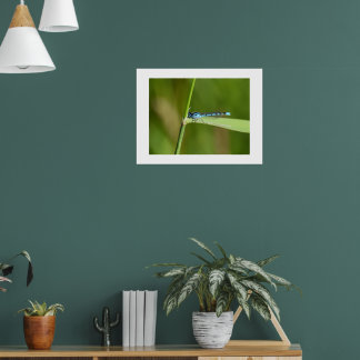 Jungfrudjur poster